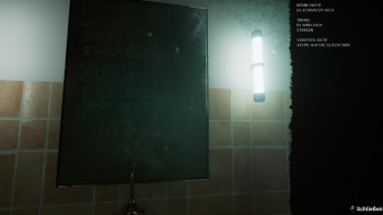 The Last Look Screenshot